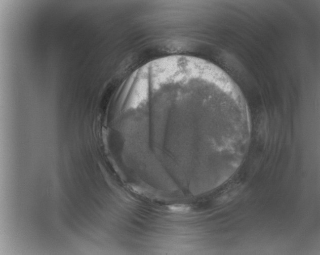 X0000067460214200604281836