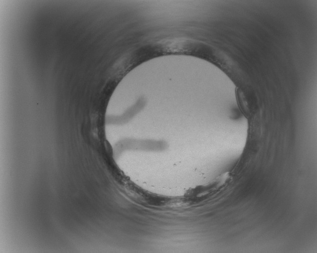 X0000067460217200604281836