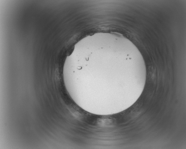 X0000067460220200604281836