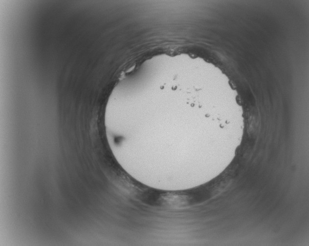 X0000067460221200604281836