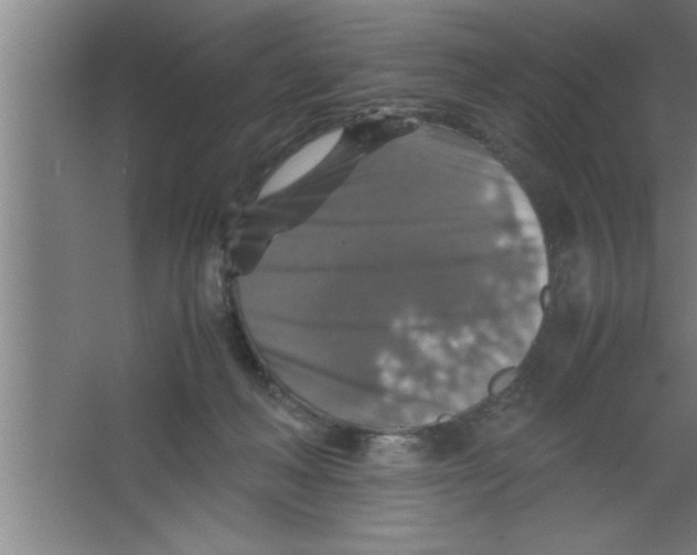 X0000067460222200604281836