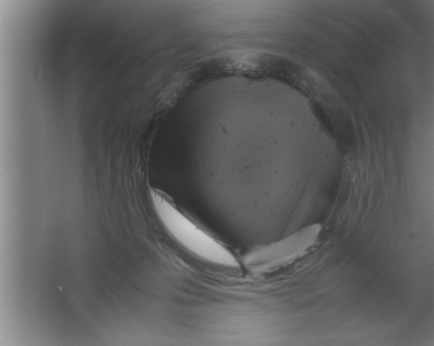 X0000067460223200604281836