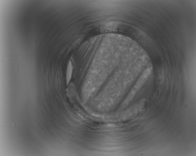 X0000067460224200604281836