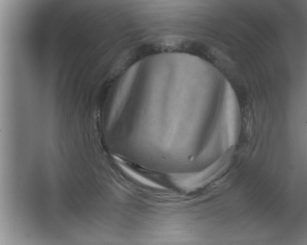 X0000067460225200604281836