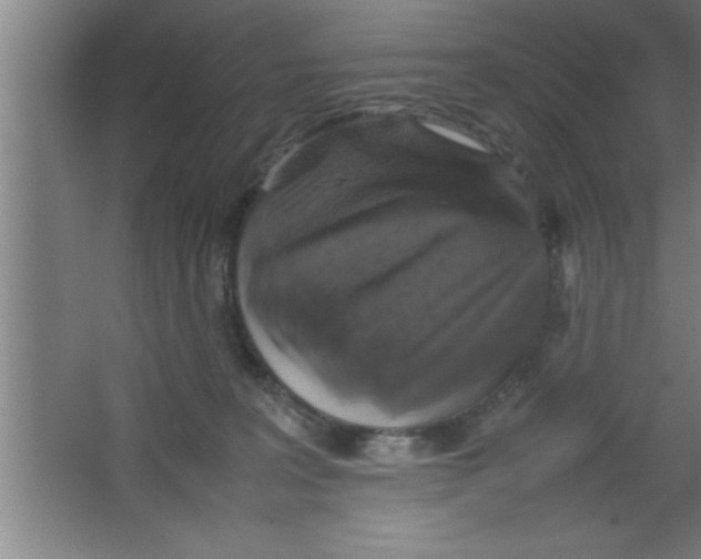 X0000067460227200604281836