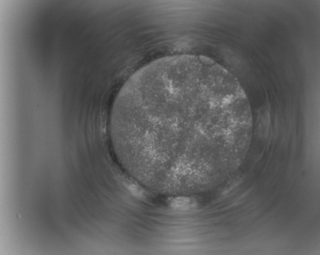 X0000067460230200604281836