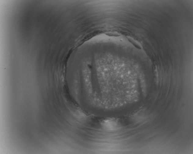 X0000067460232200604281836