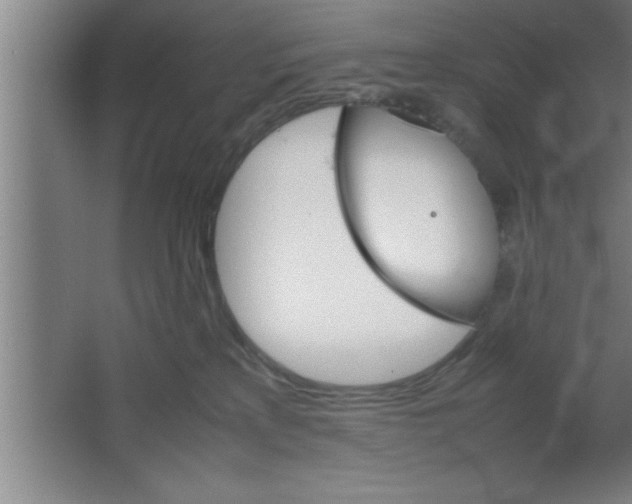 X0000067460233200604281836