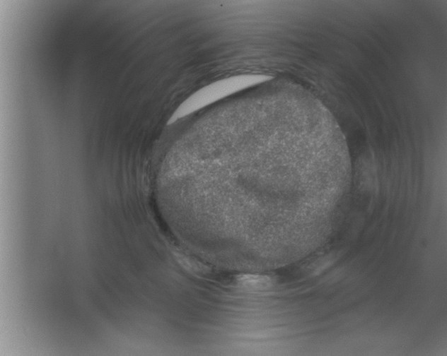 X0000067460234200604281836