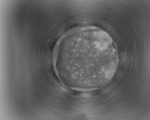 X0000067460236200604281836