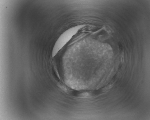 X0000067460237200604281836