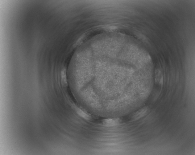 X0000067460238200604281836