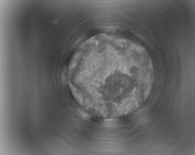 X0000067460240200604281836