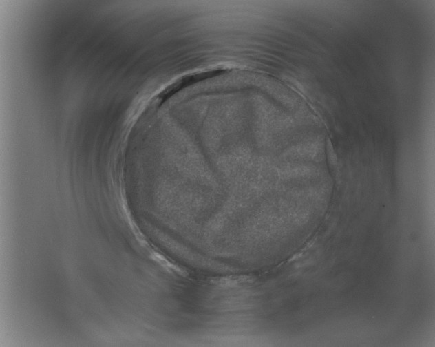 X0000067460241200604281835