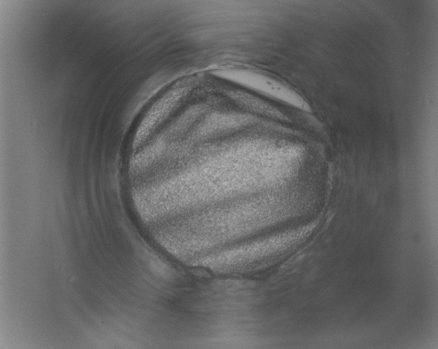 X0000067460242200604281835