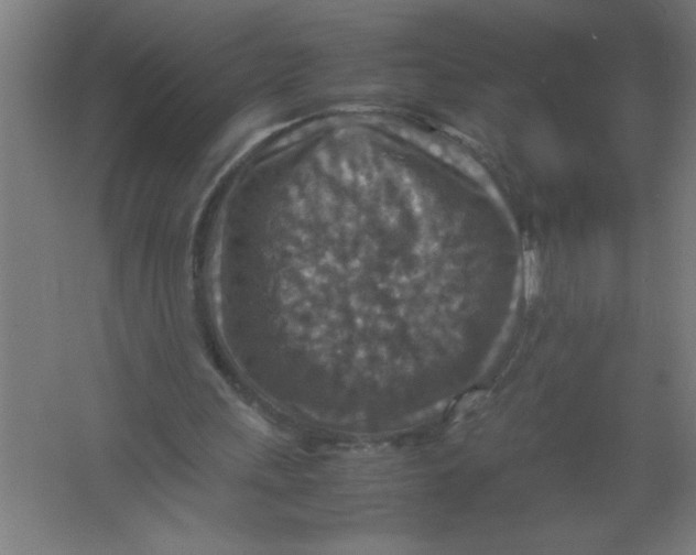 X0000067460243200604281835