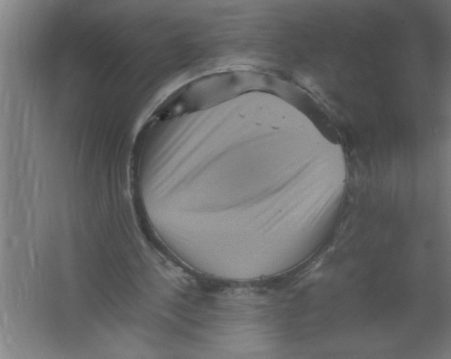 X0000067460244200604281835