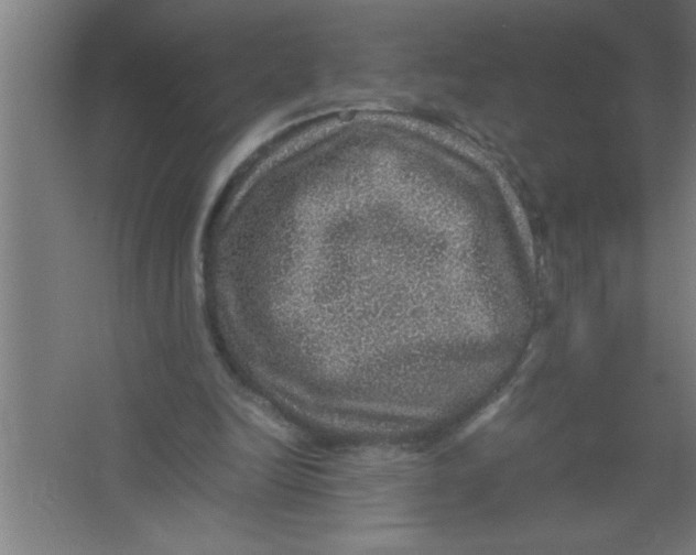 X0000067460246200604281835