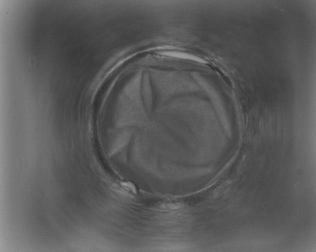 X0000067460247200604281835