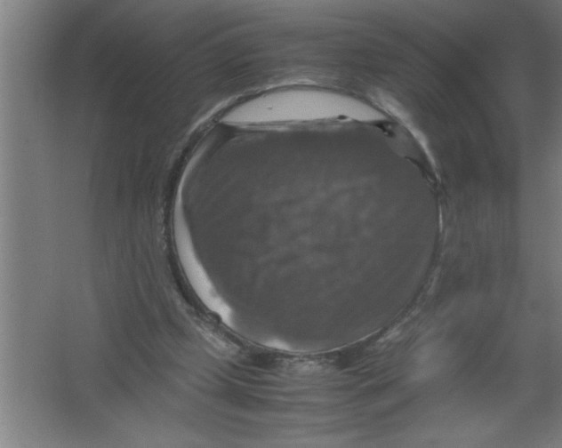 X0000067460249200604281835