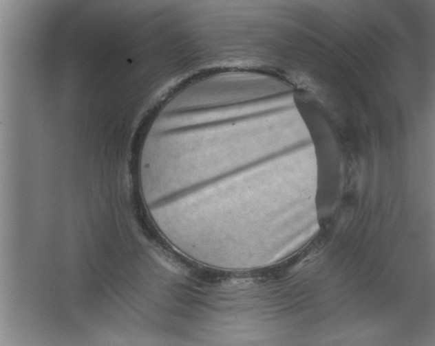 X0000067460252200604281835