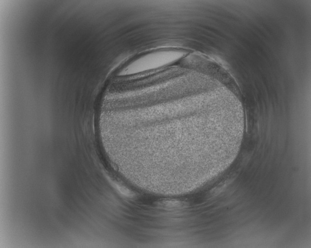 X0000067460253200604281835