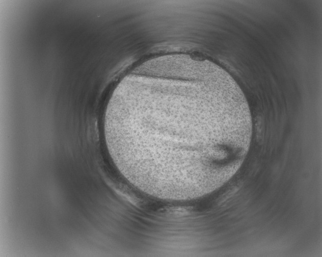 X0000067460254200604281835