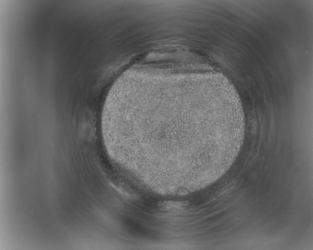 X0000067460255200604281835