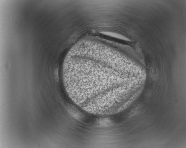 X0000067460262200604281836