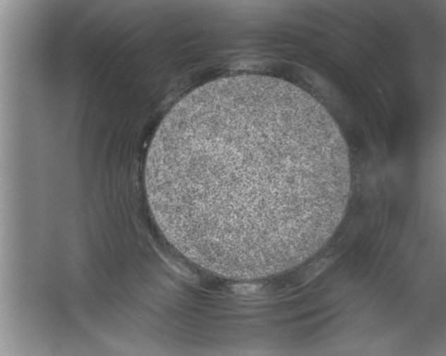 X0000067460265200604281836