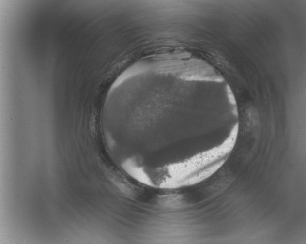 X0000067460266200604281836