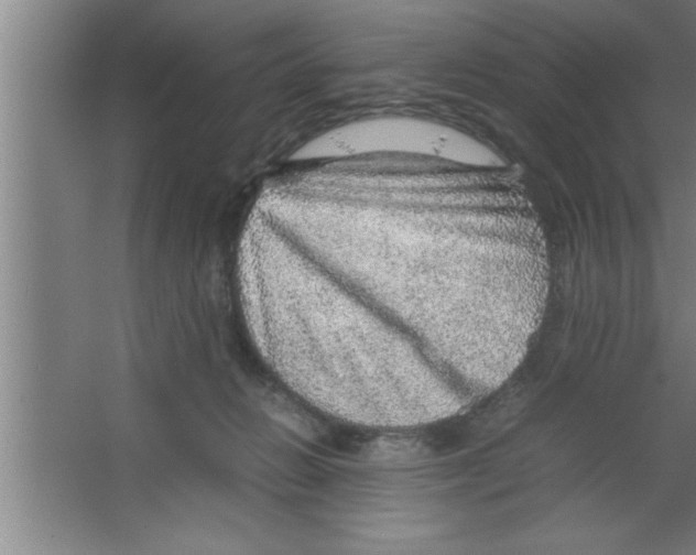 X0000067460270200604281836