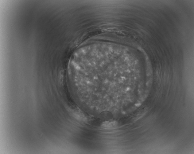 X0000067460271200604281836