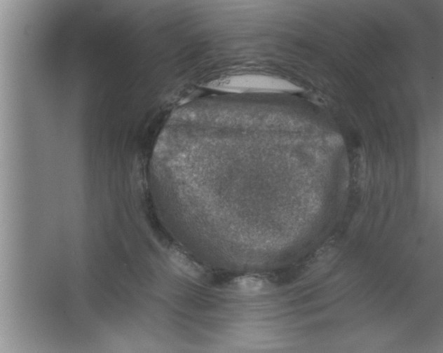 X0000067460272200604281836