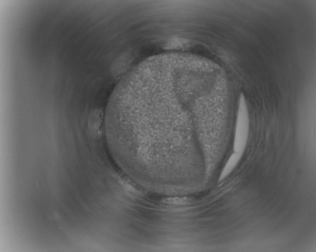 X0000067460273200604281836