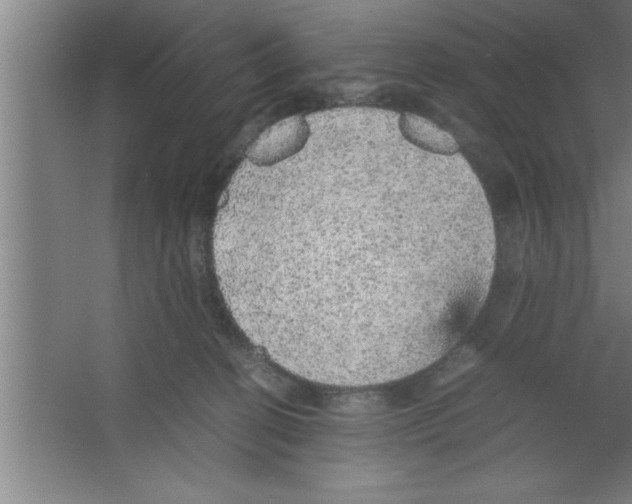 X0000067460274200604281836