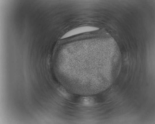 X0000067460275200604281836