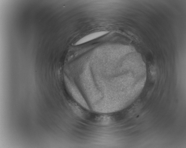 X0000067460276200604281836