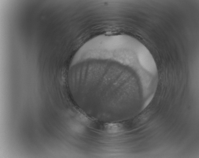 X0000067460277200604281836