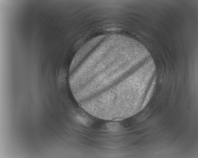 X0000067460279200604281836