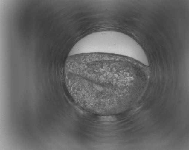 X0000067460281200604281836