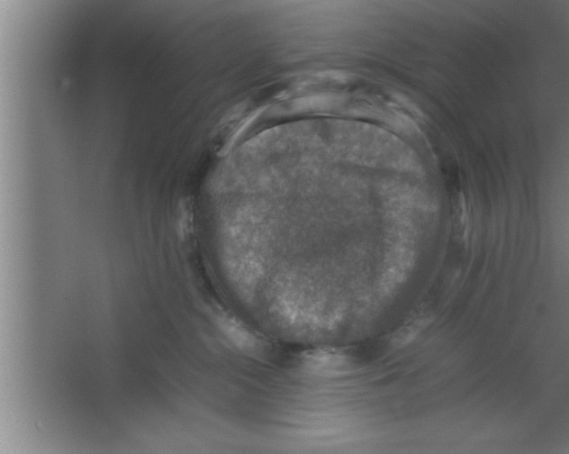 X0000067460284200604281836