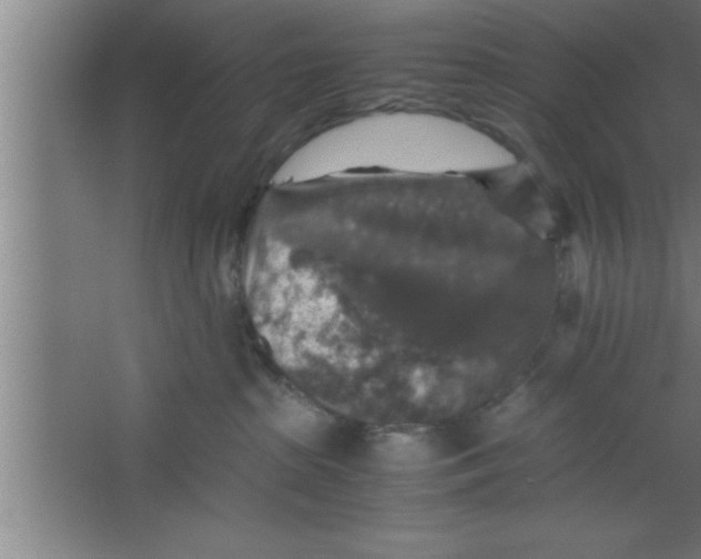 X0000067460285200604281836