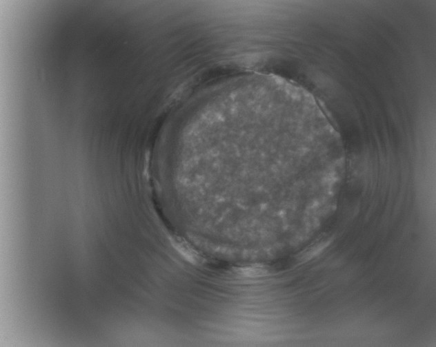 X0000067460286200604281836