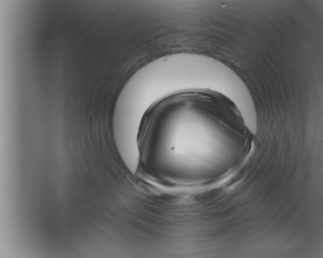 X0000067460287200604281836