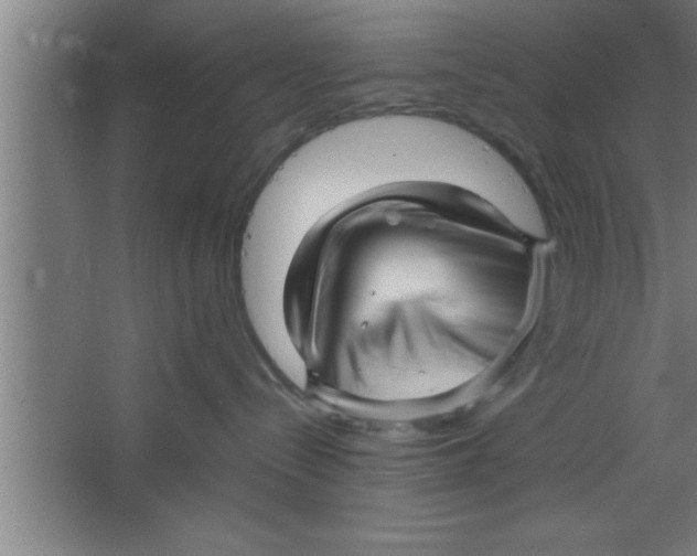 X0000067460288200604281836