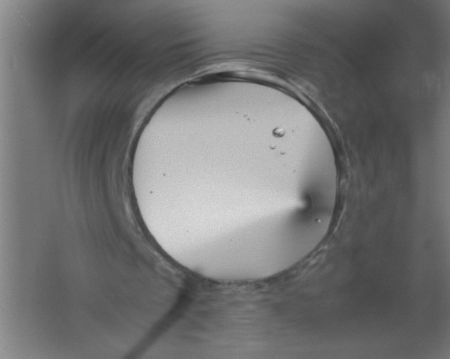 X0000067460289200604281835