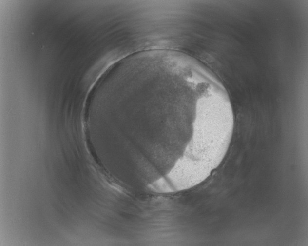 X0000067460290200604281835