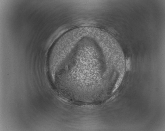 X0000067460291200604281835