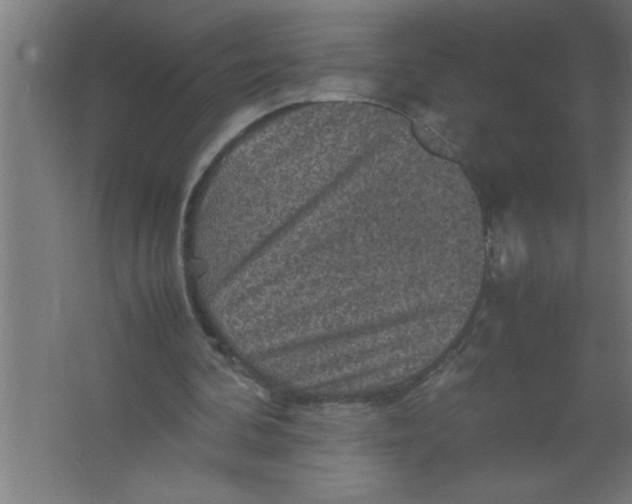 X0000067460292200604281835